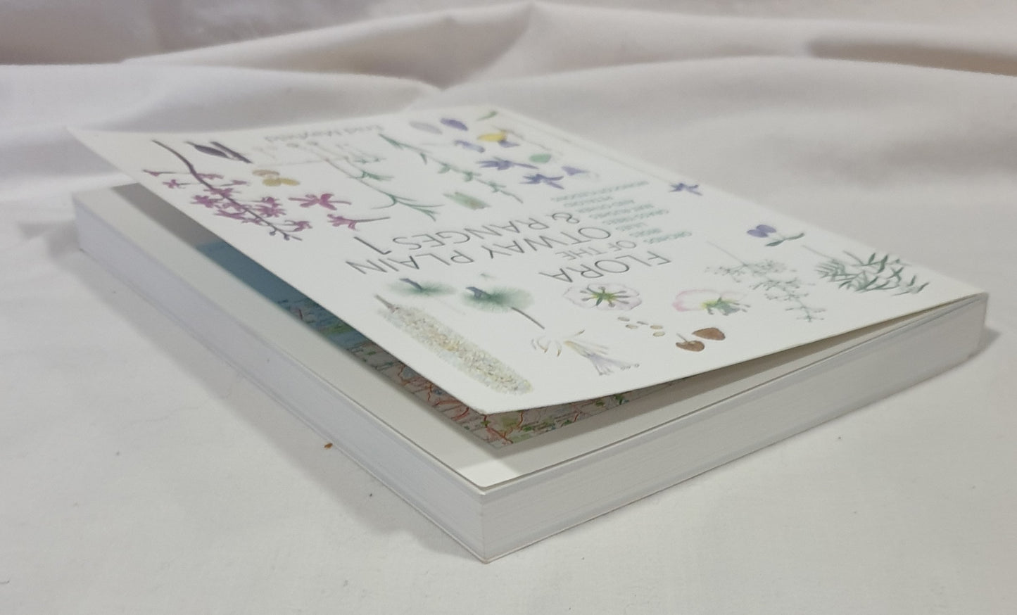 Flora of the Otway Plain & Ranges 1 by Enid Mayfield