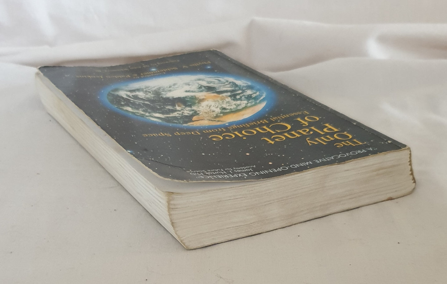 The Only Planet of Choice by Phyllis V. Schlemmer and Palden Jenkins