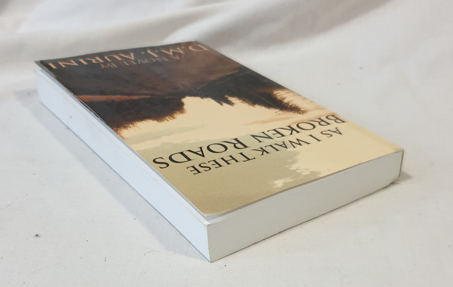 As I Walk These Broken Roads by D.M.J. Aurini