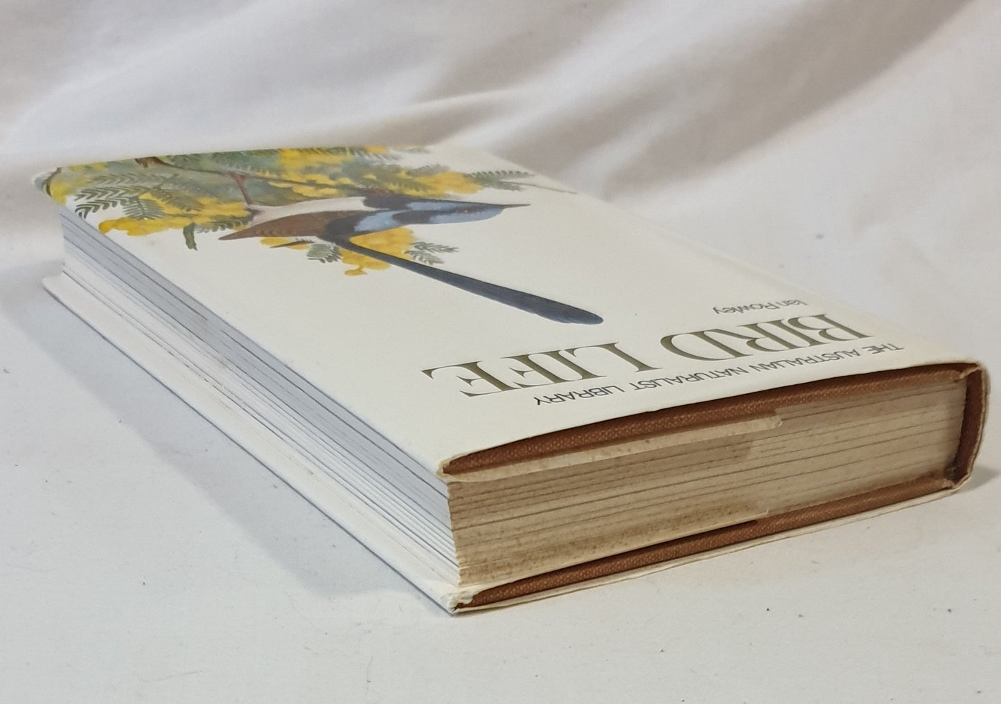 Bird Life by Ian Rowley