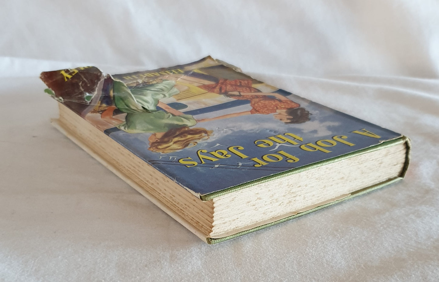 A Job for the Jays by Elisabeth Smedley