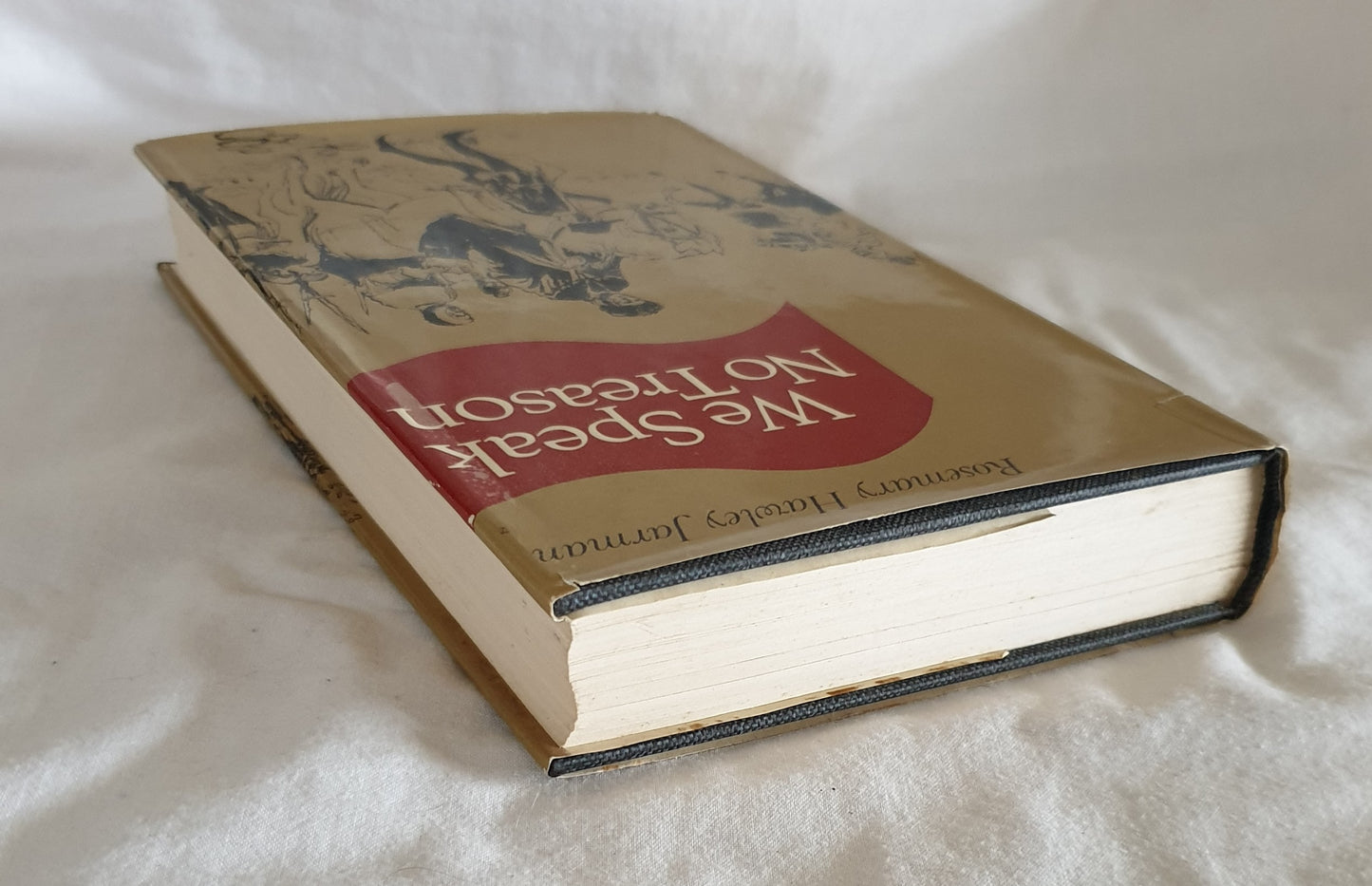 We Speak No Treason by Rosemary Hawley Jarman