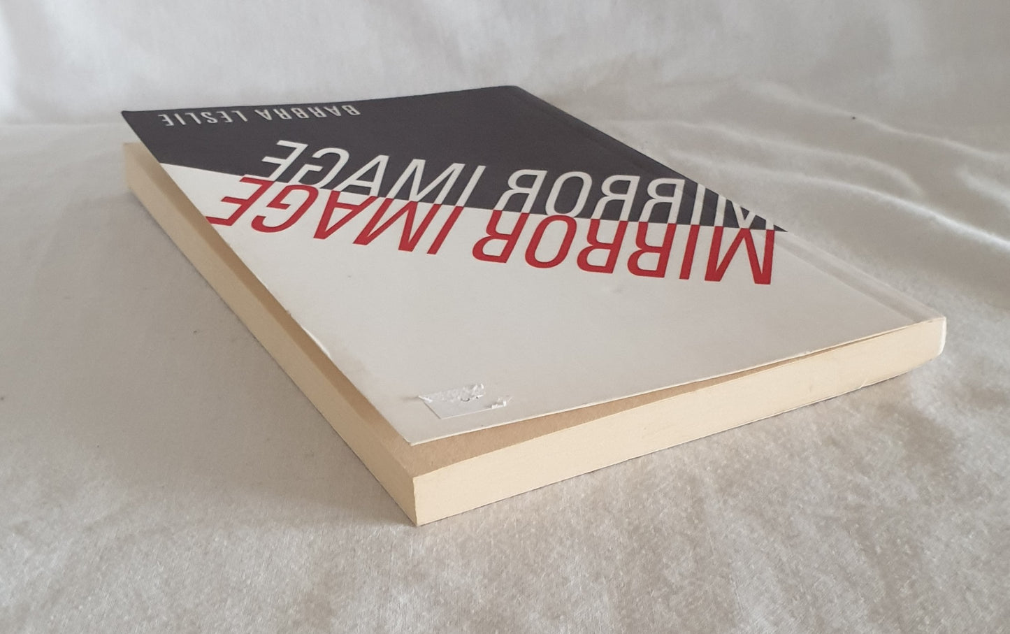 Mirror Image by Barbra Leslie