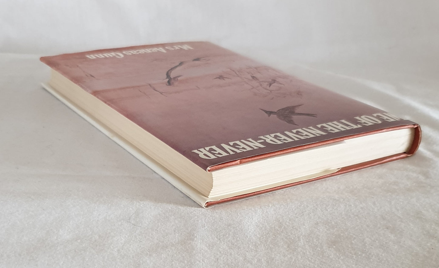 We of the Never-Never by Mrs Aeneas Gunn