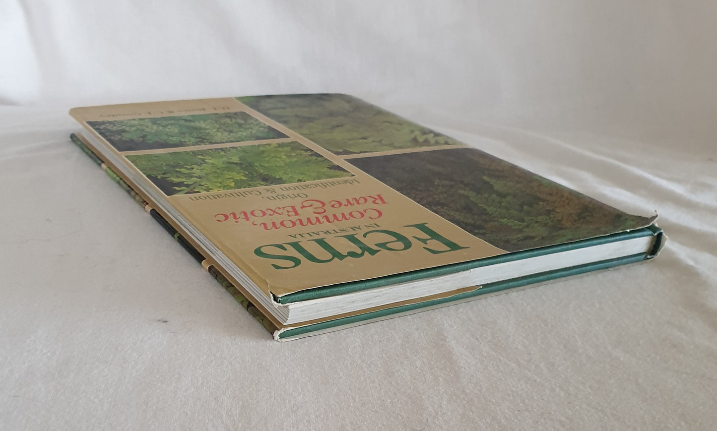 Ferns in Australia by D. L. Jones and C. J. Goudey