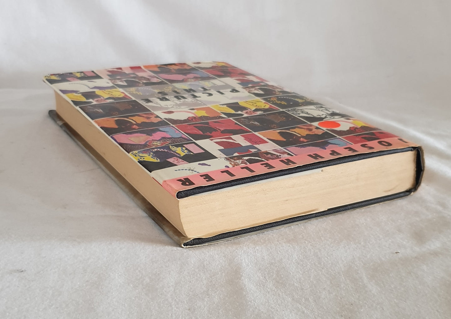 Picture This by Joseph Heller