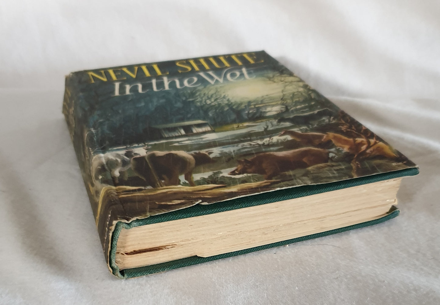 In The Wet by Nevil Shute