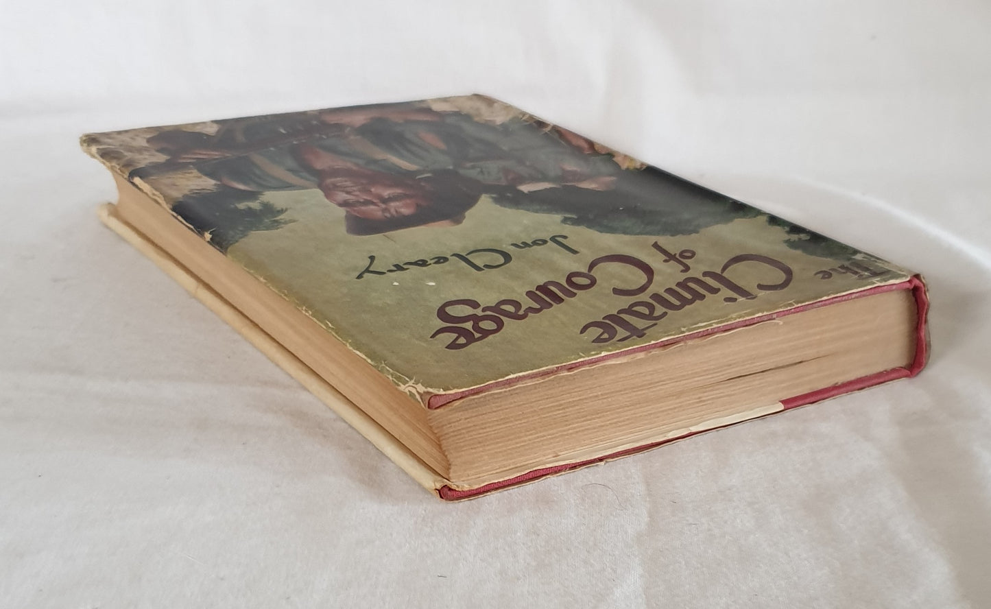 The Climate of Courage by Jon Cleary