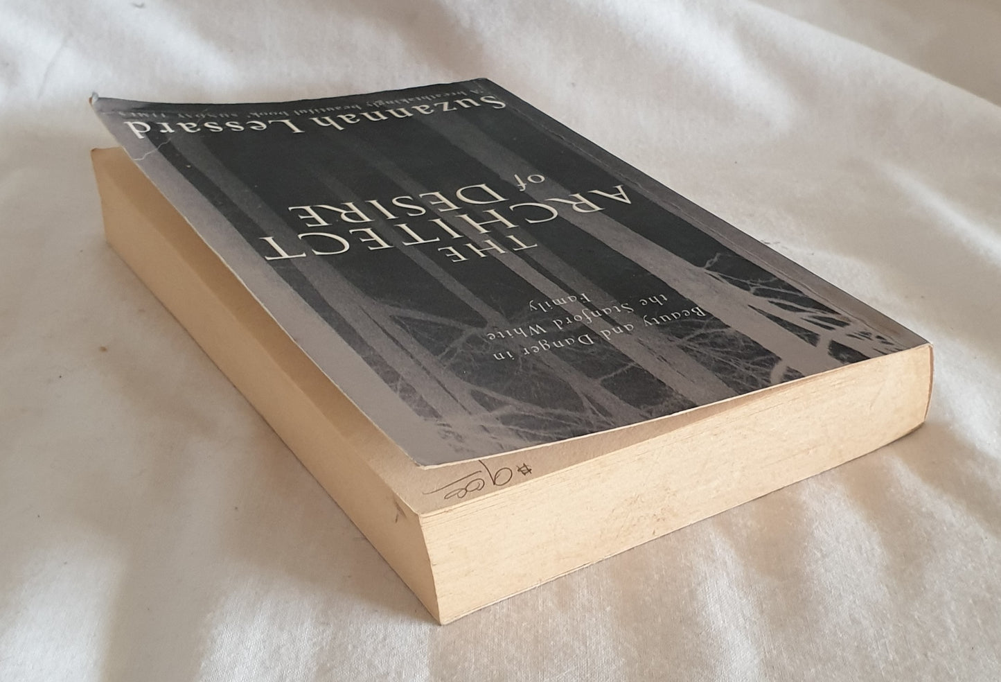 The Architect of Desire by Suzannah Lessard