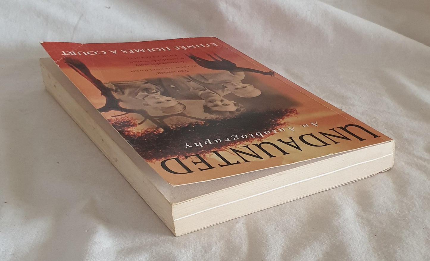 Undaunted by Ethnee Holmes a Court