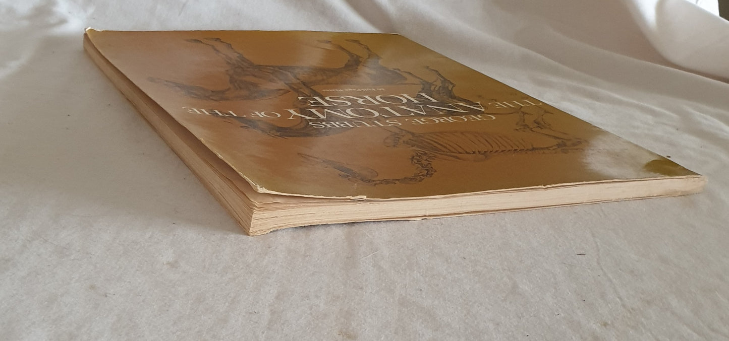 The Anatomy of the Horse by George Stubbs