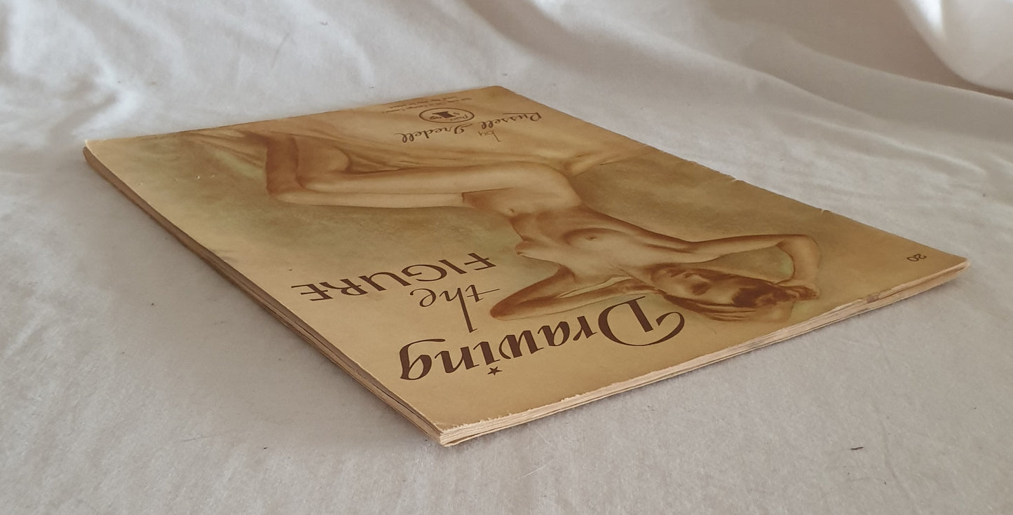 Drawing the Figure by Russell Iredell