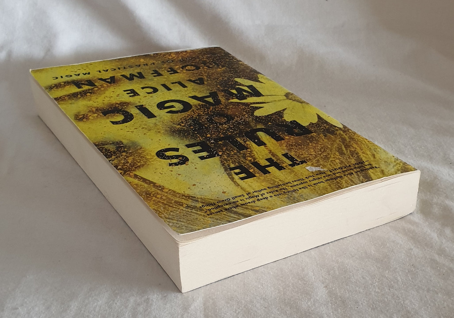 The Rules of Magic by Alice Hoffman