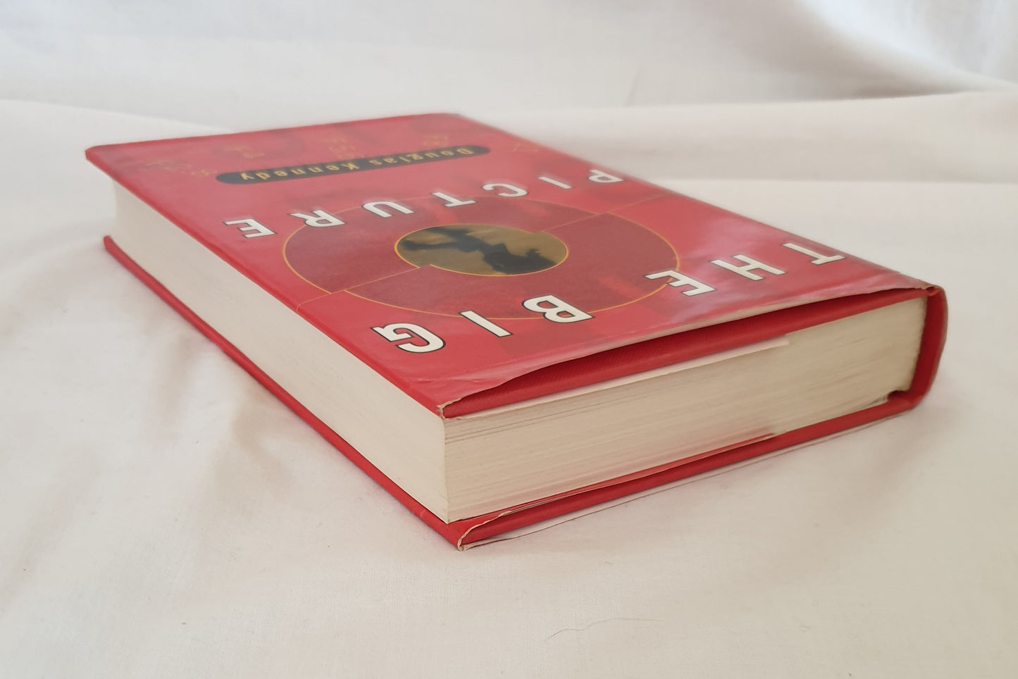 The Big Picture by Douglas Kennedy