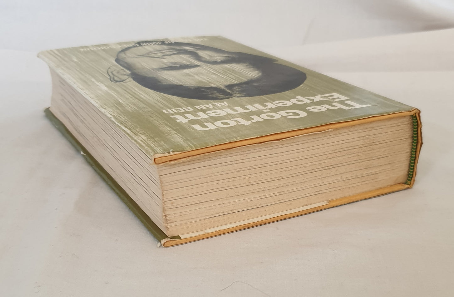 The Gorton Experiment by Alan Reid