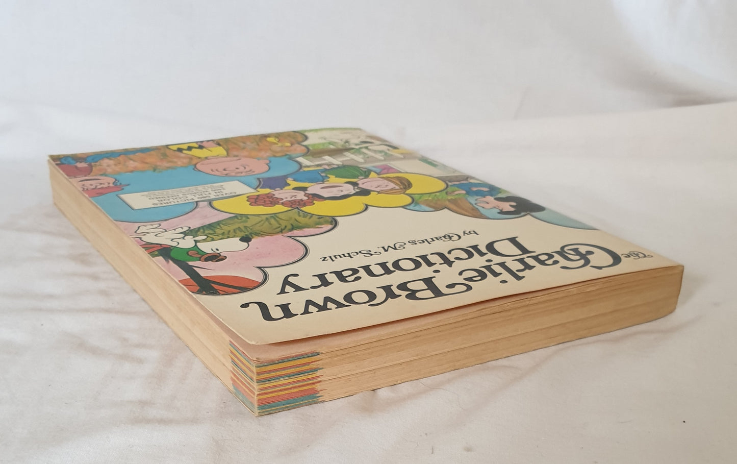 The Charlie Brown Dictionary by Charles M. Schulz