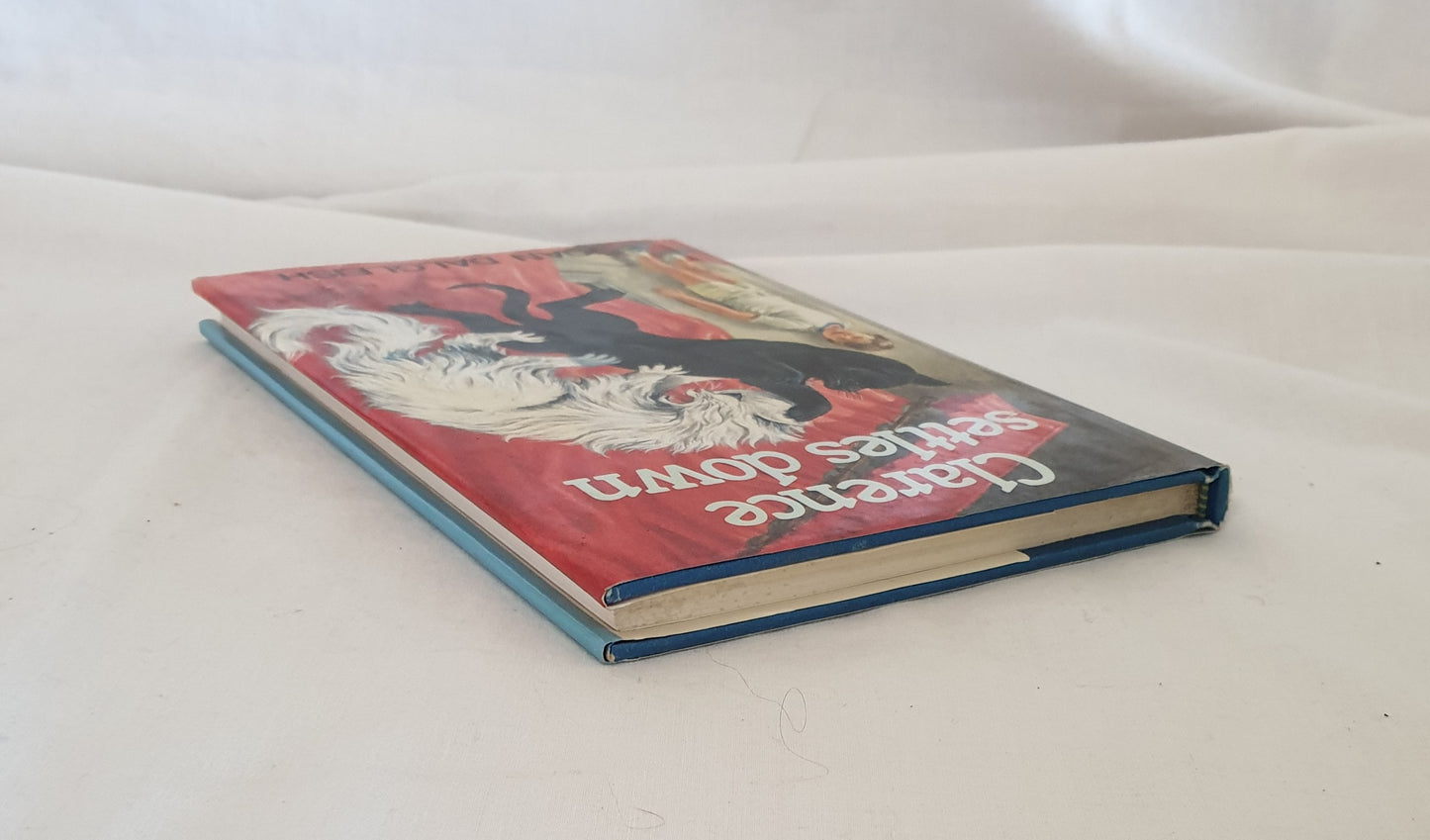 Clarence Settles Down by Joan Dalgleish