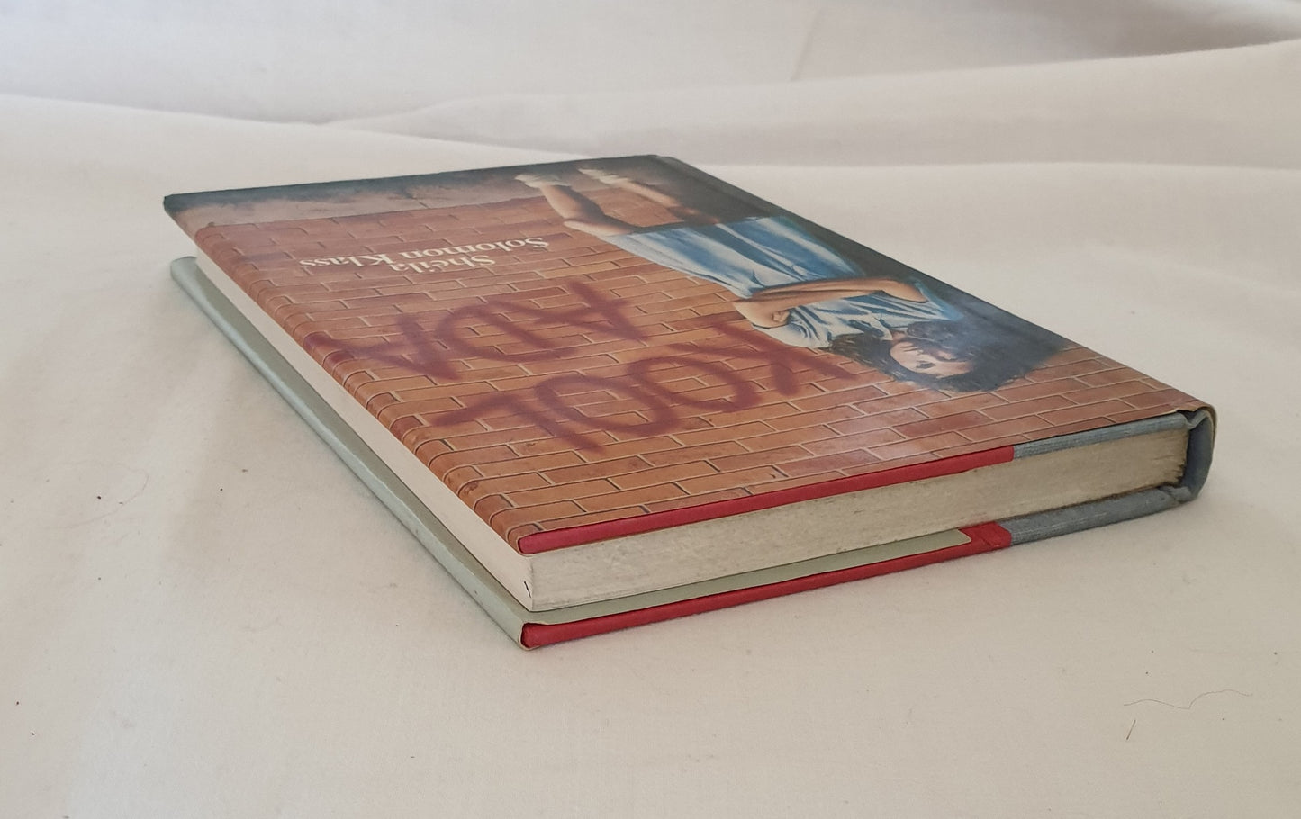 Kool Ada by Sheila Solomon Klass