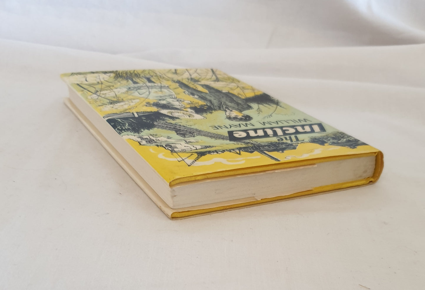 The Incline by William Mayne