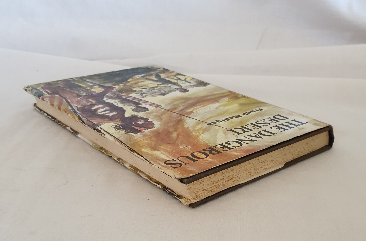 The Dangerous Desert by Frank Madigan