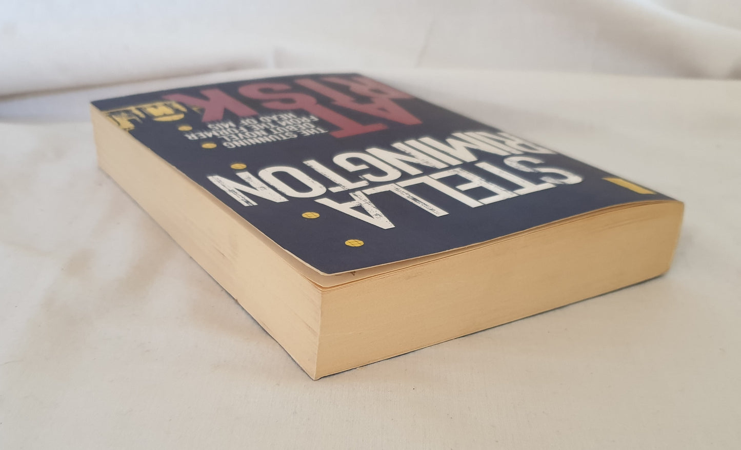 At Risk by Stella Rimington