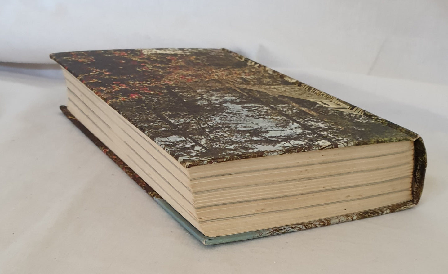 The Shell Gardens Book by Peter Hunt