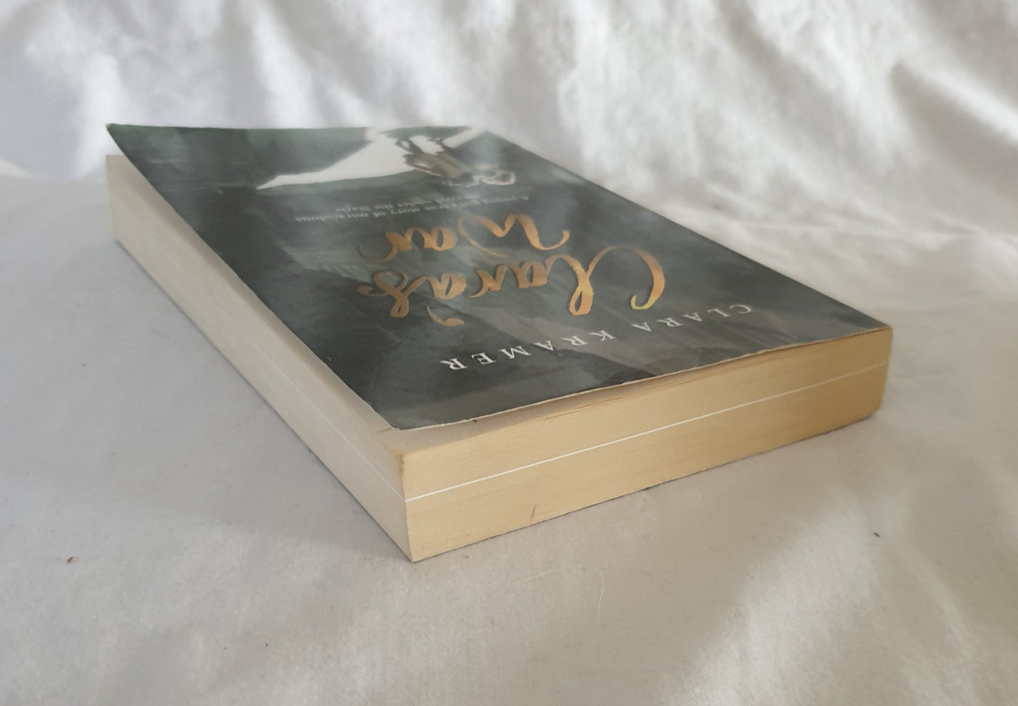 Clara's War by Clara Kramer