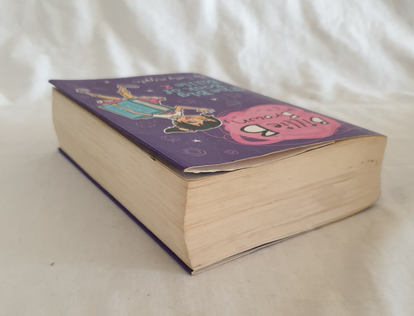 Billie B Brown by Sally Rippin