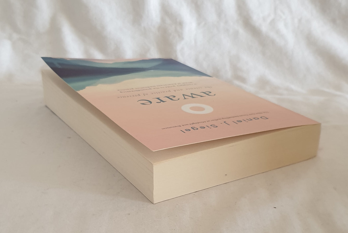 Aware by Daniel J. Siegel