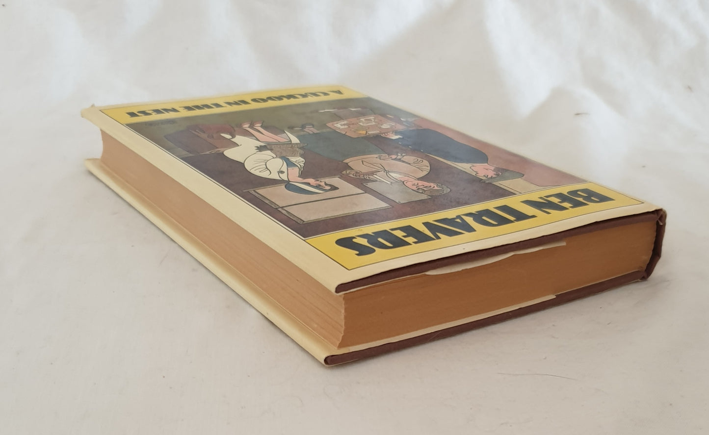 A Cuckoo In The Nest by Ben Travers