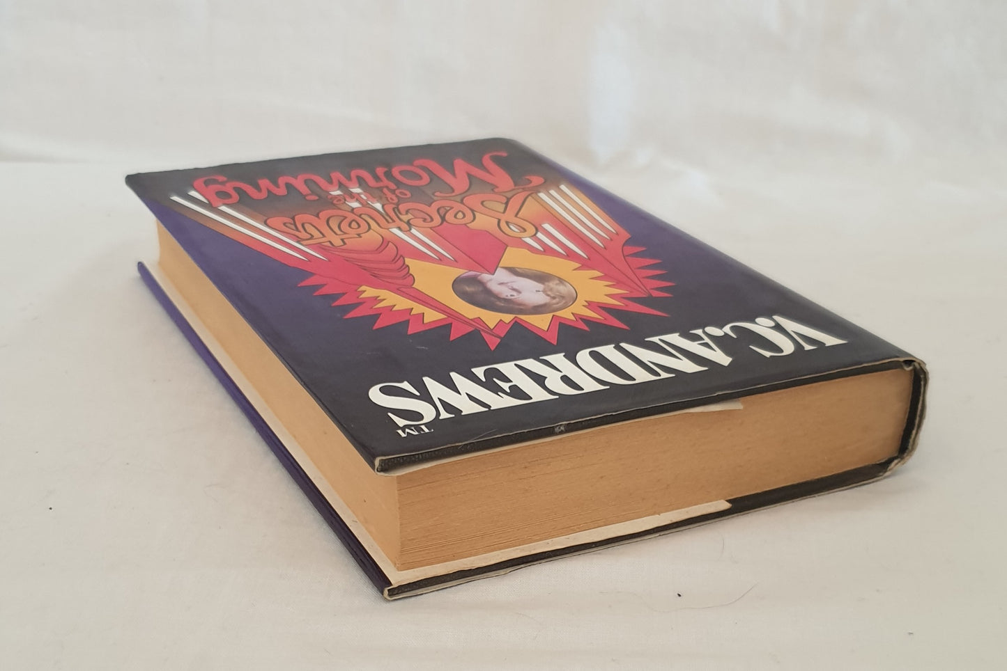 Secrets of the Morning by V. C. Andrews