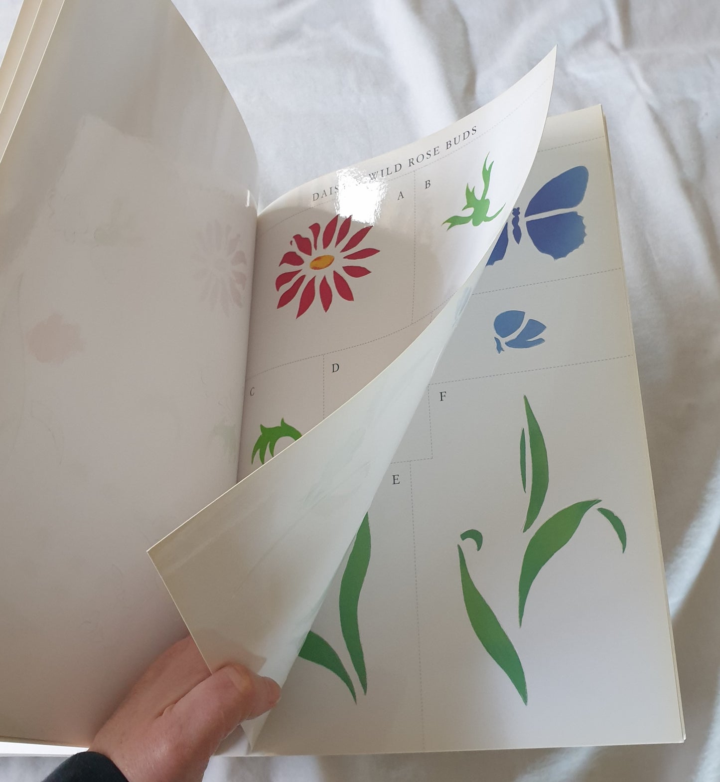 Cottage Flowers by Katrina Hall