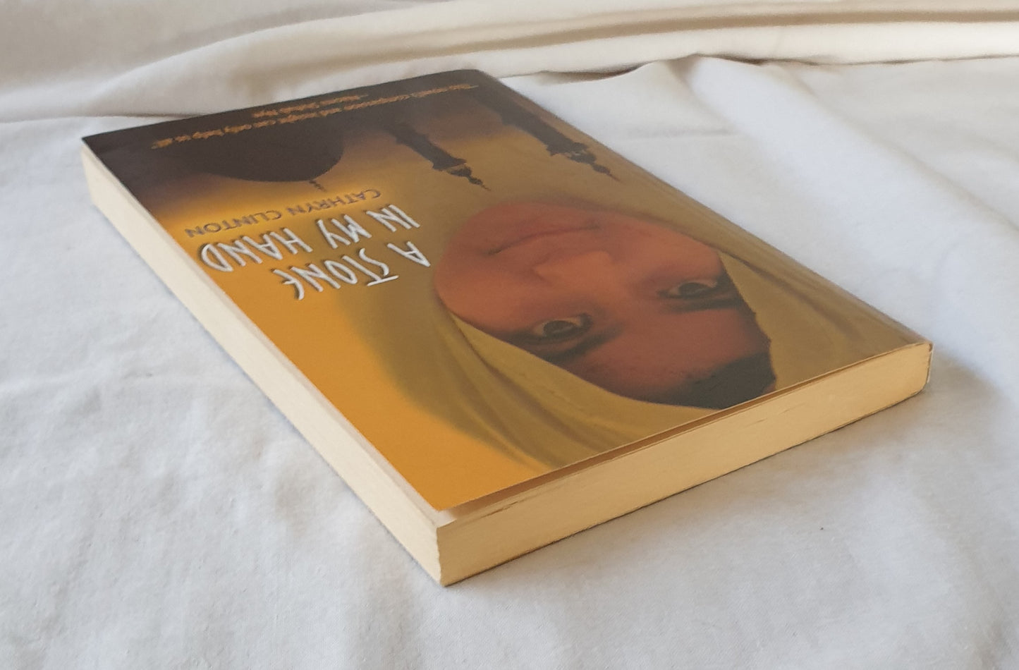 A Stone in My Hand by Cathryn Clinton