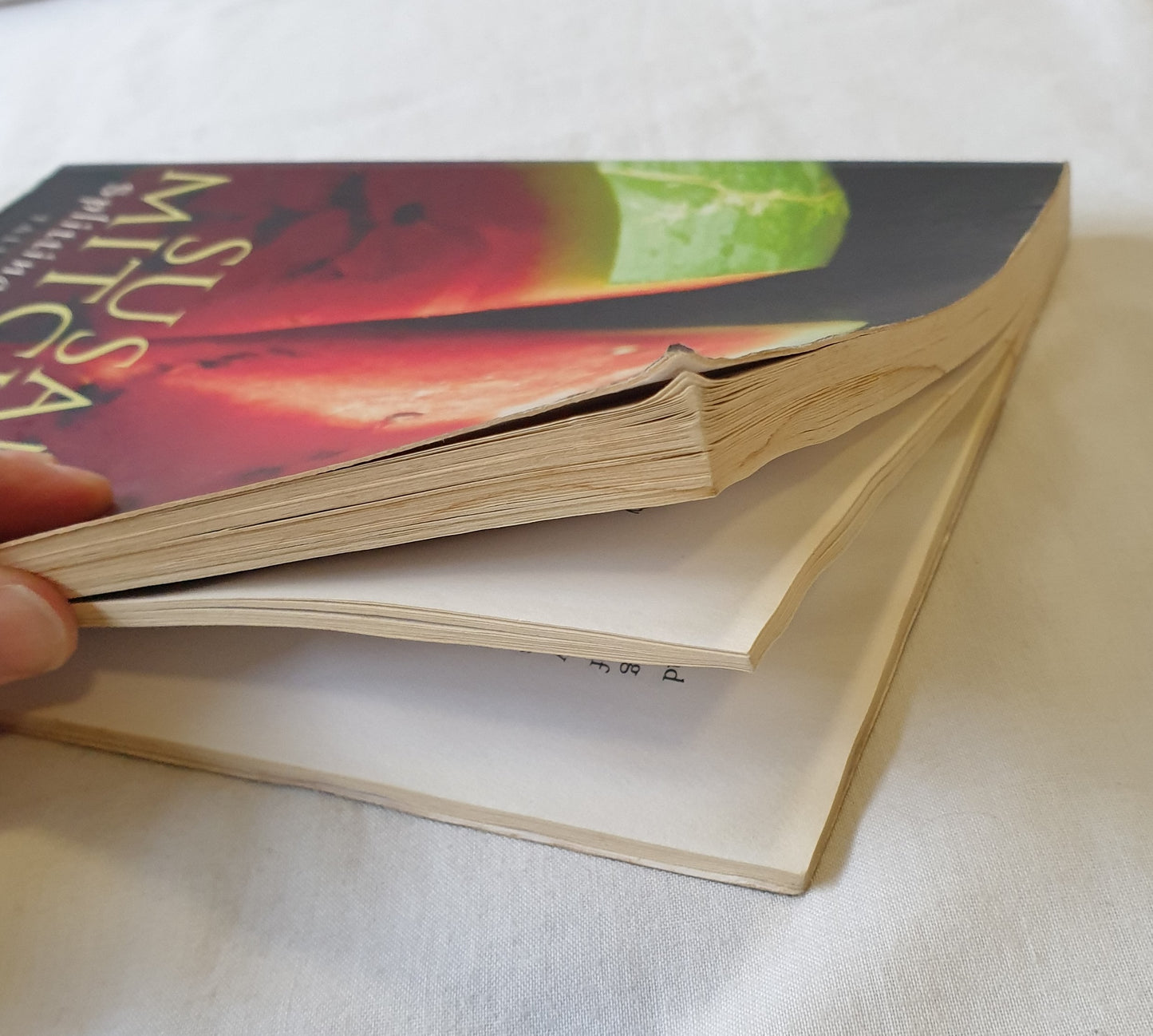 Splitting the World Open by Susan Mitchell