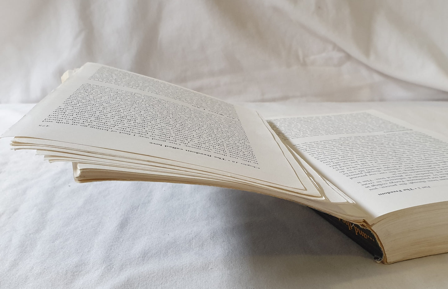 .…And the Truth Shall Set You Free by David Icke