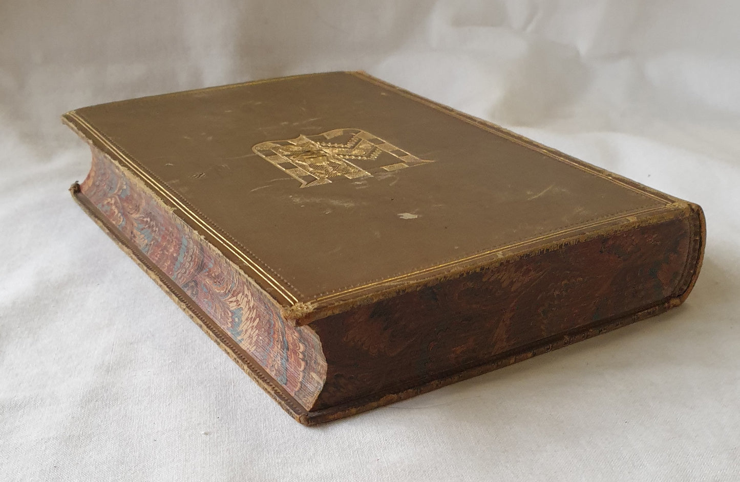 The Variation of Animals and Plants Under Domestication by Charles Darwin