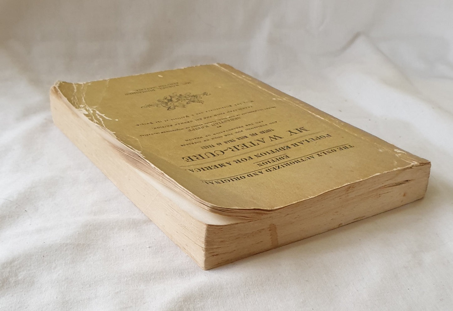 My Water-cure by Sebastian Kneipp