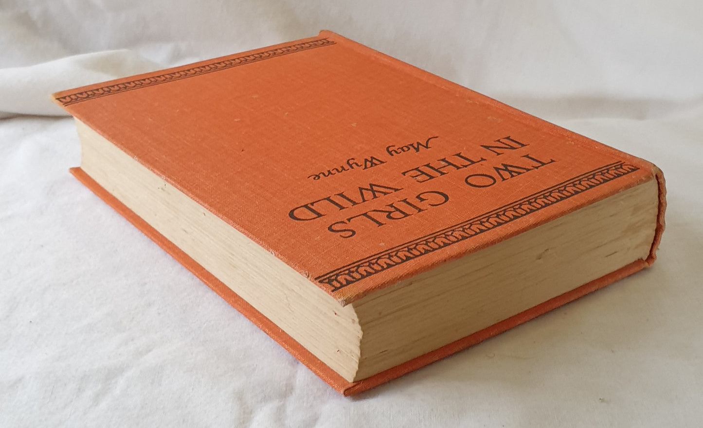 Two Girls in the Wild by May Wynne