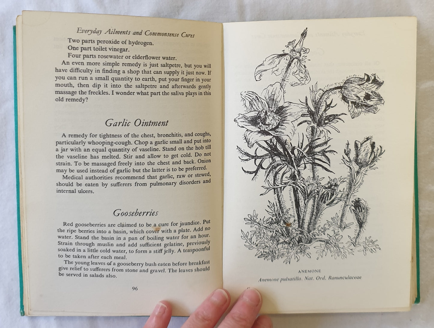Herbal Remedies by Mary Thorne Quelch