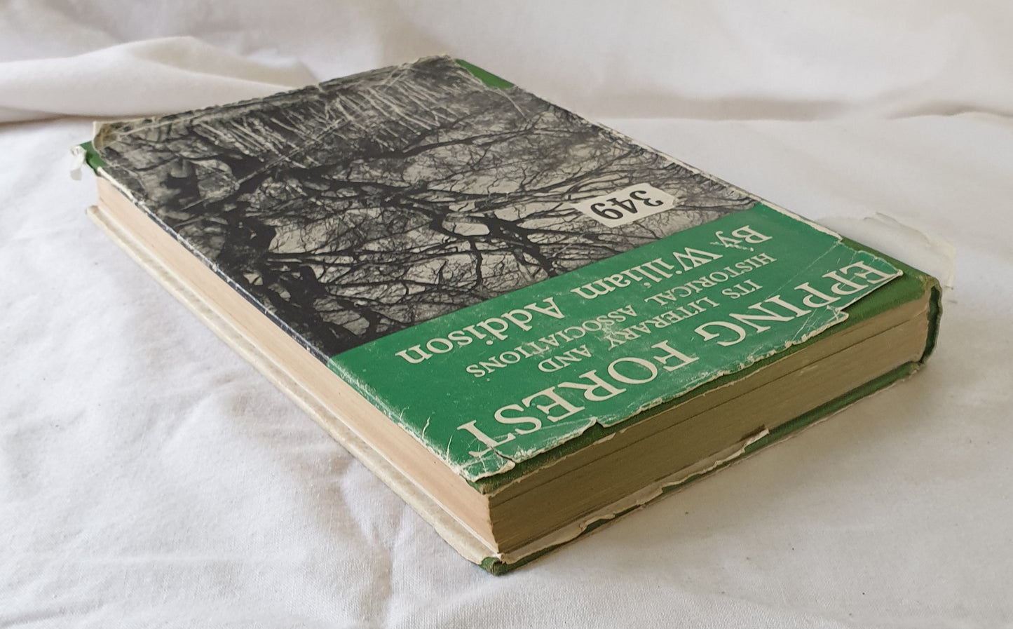 Epping Forest by William Addison