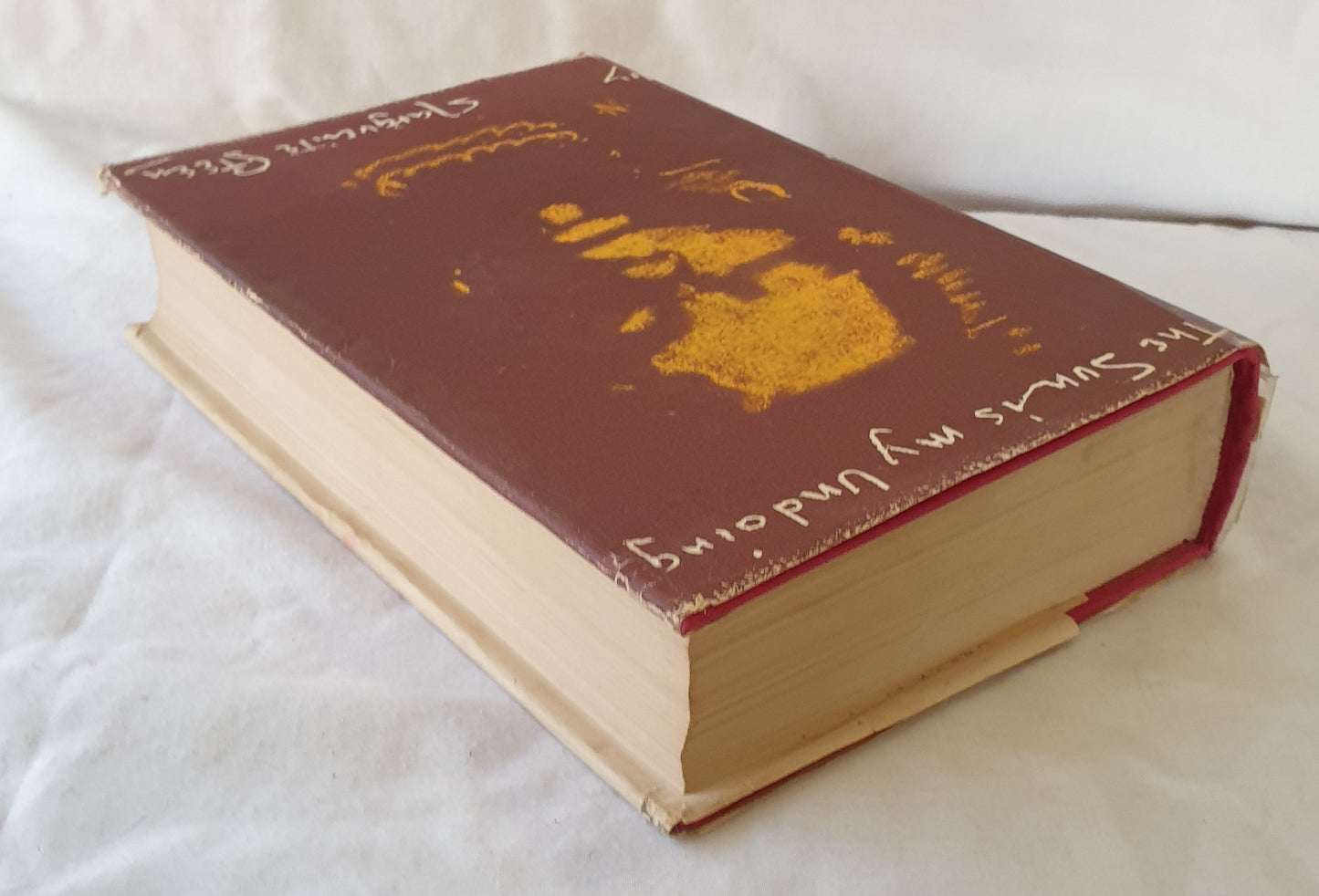 The Sun Is My Undoing by Marguerite Steen