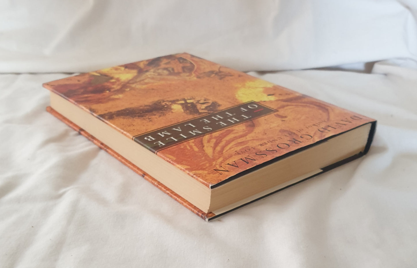 The Smile of the Lamb by David Grossman