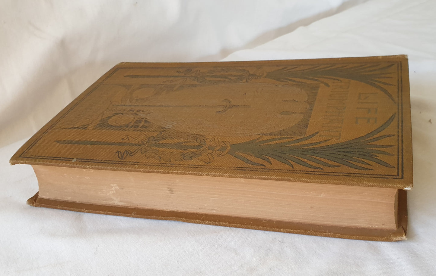 Life Triumphant by John E. Read