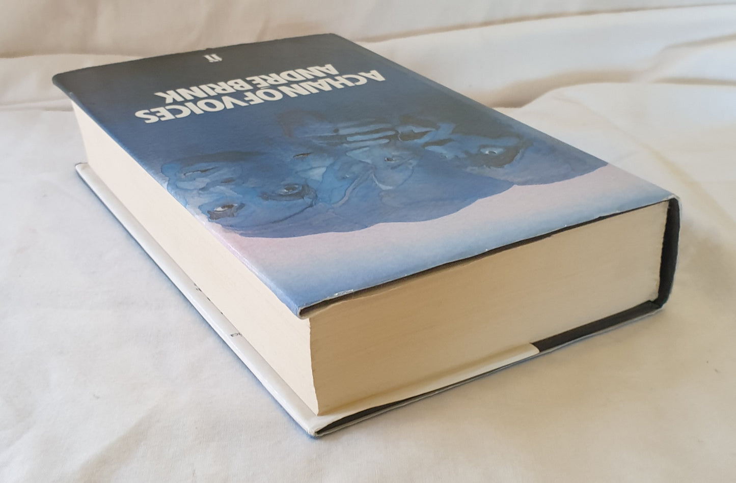 A Chain of Voices by Andre Brink