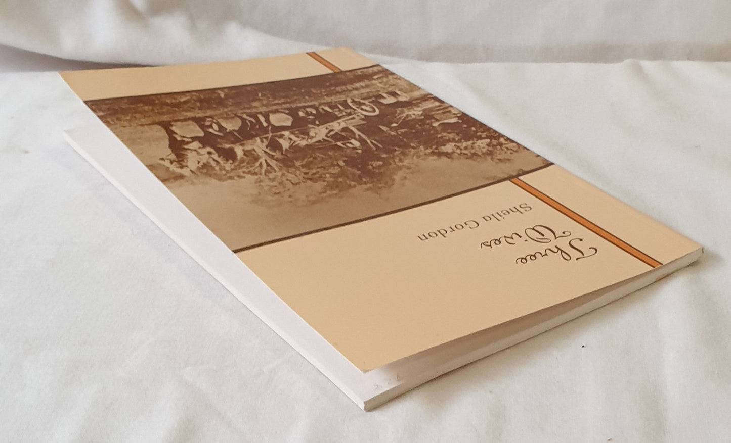 Three Wives by Sheila Gordon