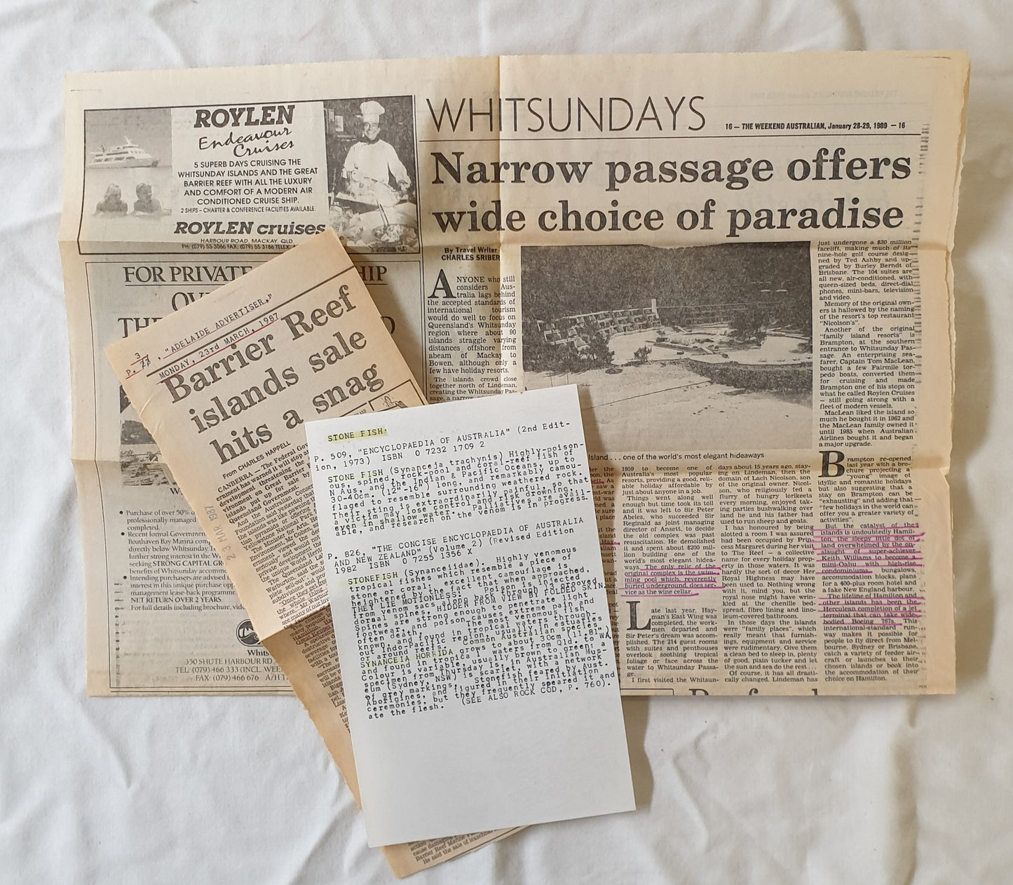 Great Barrier Reef by William J. Dakin