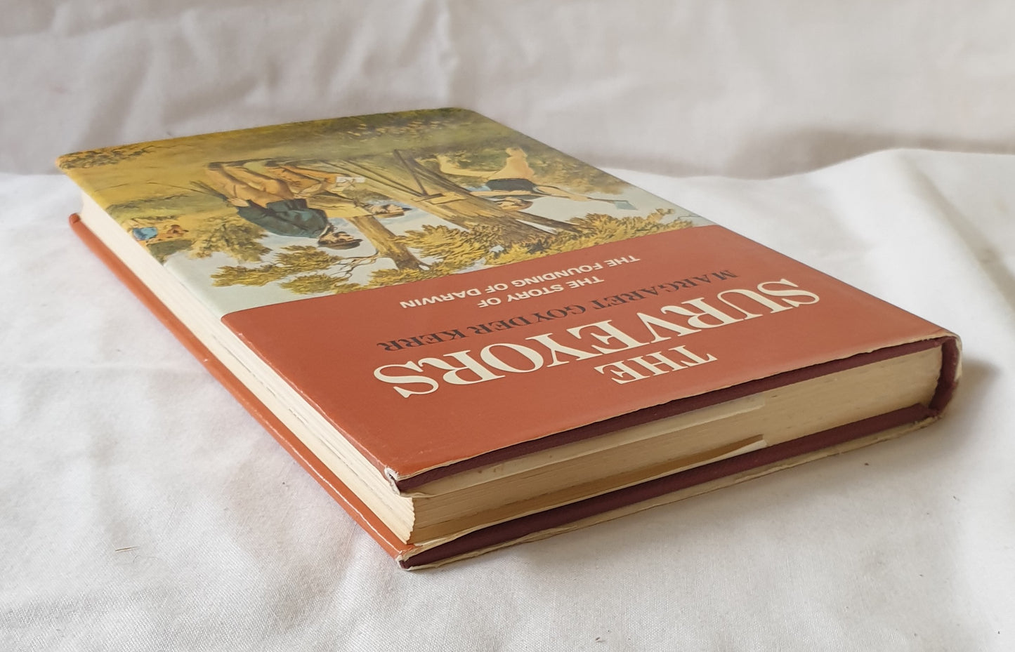 The Surveyors by Margaret Goyder Kerr