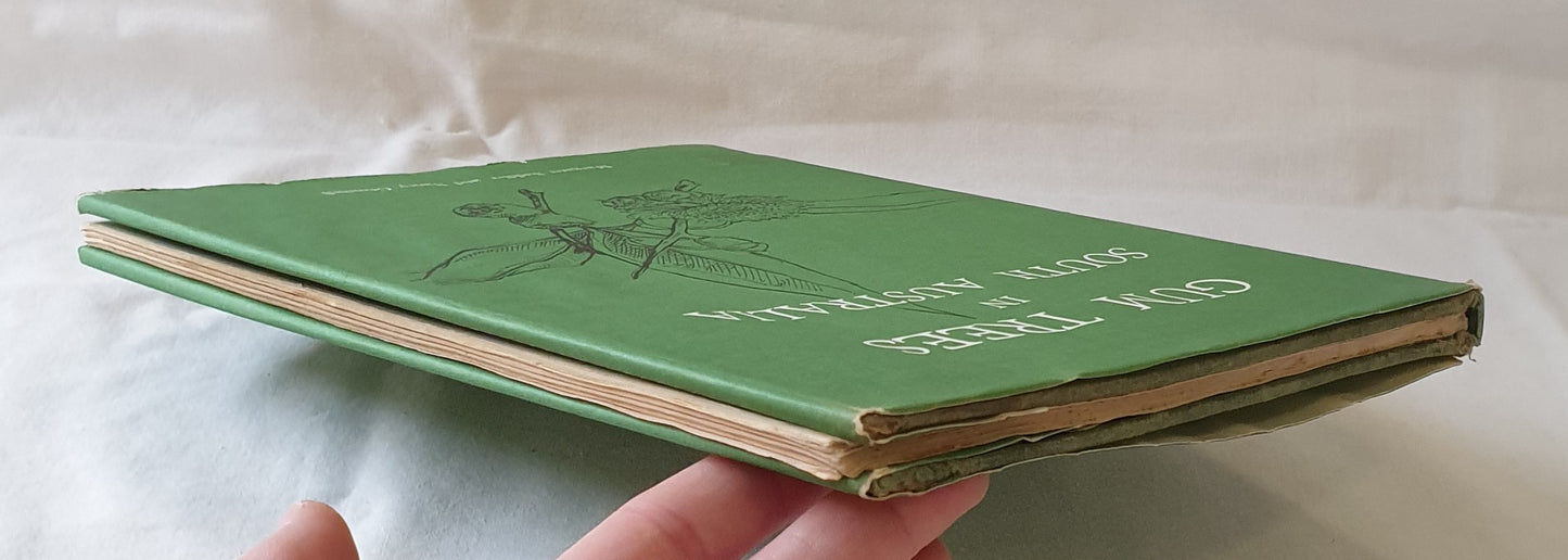 Gum Trees in South Australia by Margaret Saddler