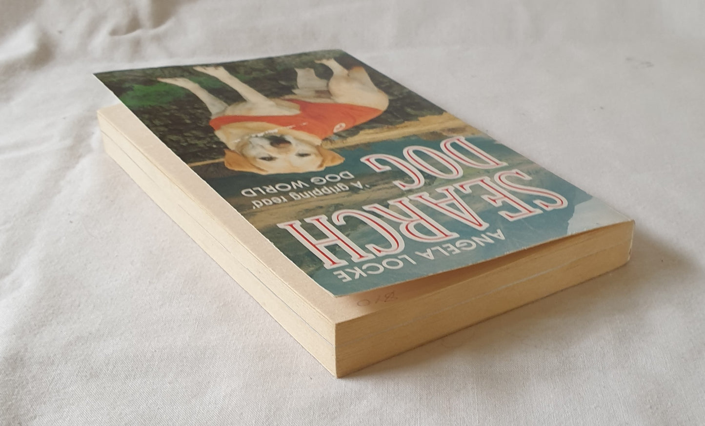 Search Dog by Angela Locke