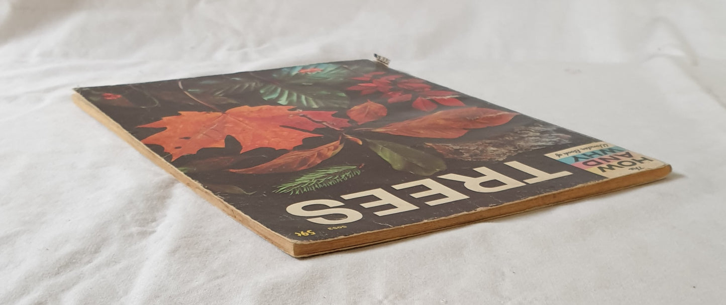 The How and Why Wonder Book of Trees by Geoffrey Coe